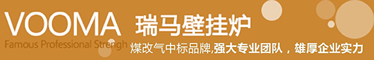 瑞马荣获壁挂炉十大品牌